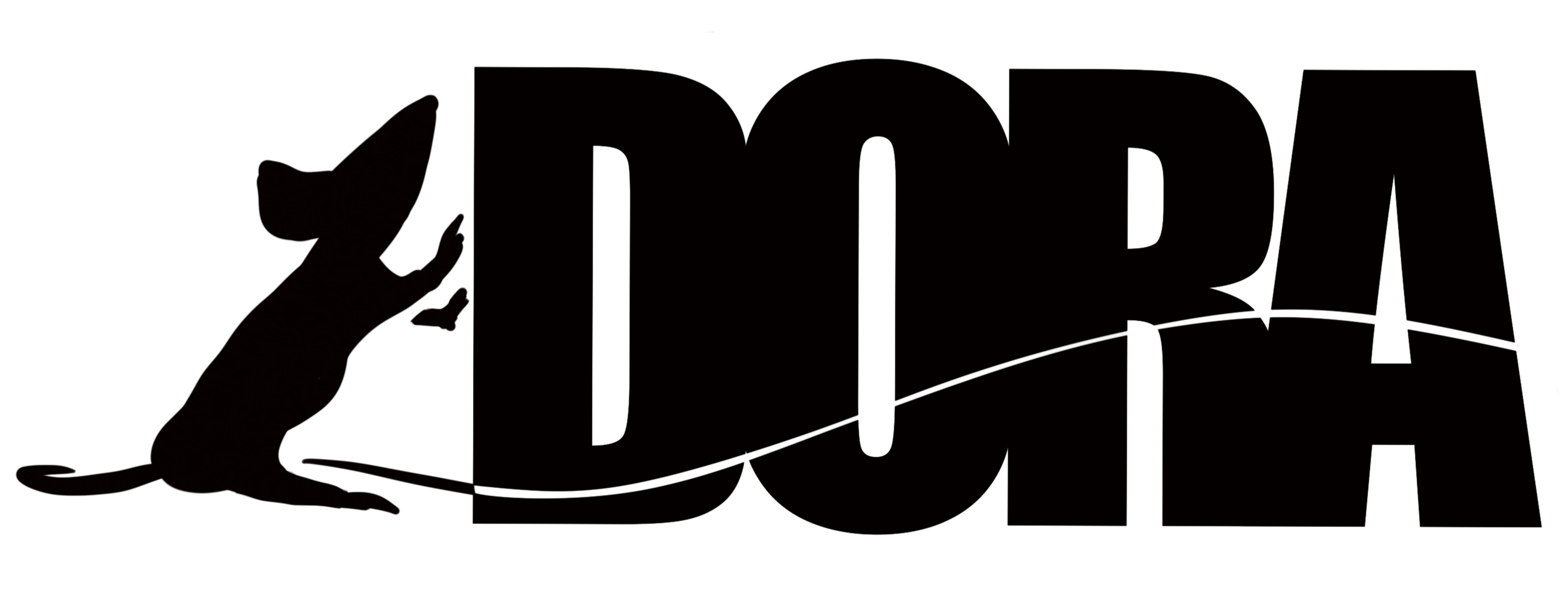 štěnice domácí